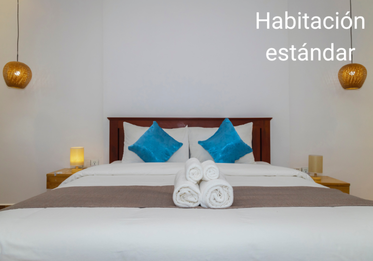 Habitación estándar (3)